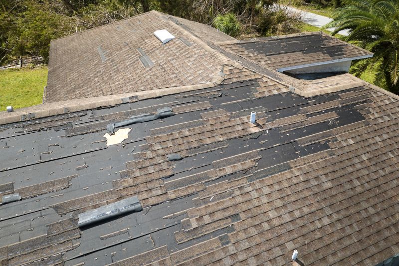 Weather Damage Restoration